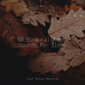 50 Binaural Wave Sounds for Sleep - Healing Yoga Meditation Music Consort