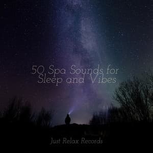 50 Spa Sounds for Sleep and Vibes - Japanese Relaxation and Meditation
