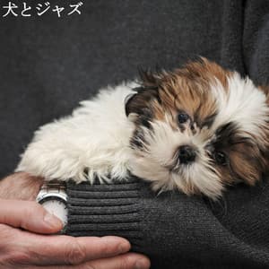 犬とジャズ - Productivity Music