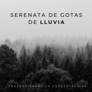 Serenata De Gotas De Lluvia: Profundizando La Concentración - Danny sonidos de lluvia