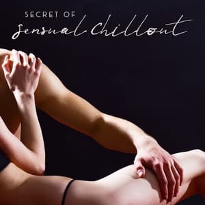 Secret of Sensual Chillout - The Best Of Chill Out Lounge