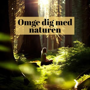 Omge dig med naturen: Grön oas för stilla meditation - Naturliga Ljudterapi Masters