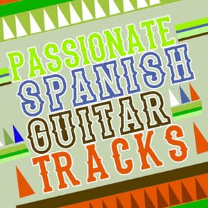 Passionate Spanish Guitar Tracks - Salsa Passion