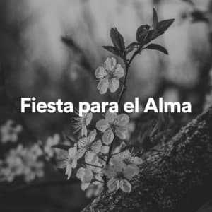 Fiesta para el Alma - Ruido Del Sueño