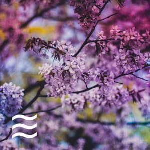 Shush for Sleep Kids Noises Sleep Sounds - Baby Shusher