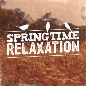 Springtime Relaxation - Deep Sleep Music Club