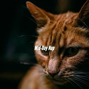 Mid-Day Nap - Relaxing Jazz Cafe