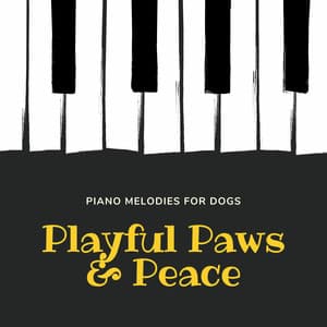 Playful Paws & Peace: Piano Melodies for Dogs - Piano Mood