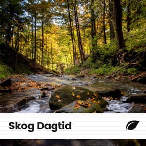 Skog Dagtid - Naturljud