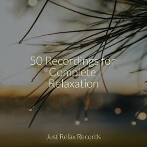 50 Recordings for Complete Relaxation - Lounge relax