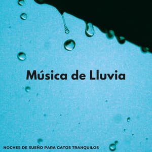 Música De Lluvia: Noches De Sueño Para Gatos Tranquilos - El poder de la lluvia