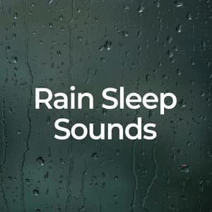 Rain Sleep Sounds - Rain Sleep Sounds