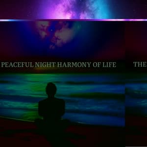 The Peaceful Night Harmony Of Life - Exploring Noises