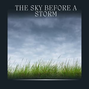 The Sky Before a Storm - Thunderstorm