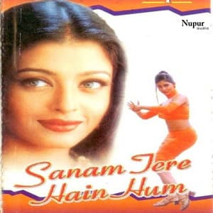 Sanam Tere Hain Hum - Mani Sharma