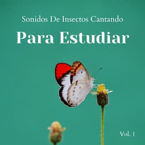 Sonidos De Insectos Cantando Para Estudiar Vol. 1 - Próxima Naturaleza