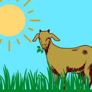 Tranquil Background Music for Chill Coffee Houses - Reading Music Deluxe