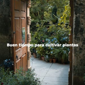Buen tiempo para cultivar plantas - Jazz For Sleeping