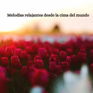 Melodías relajantes desde la cima del mundo - Hotel Lounge Music