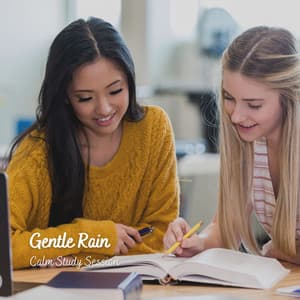 Gentle Rain: Calm Study Session - Study Time