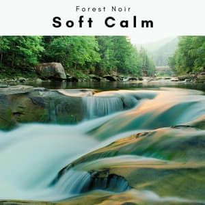 3 2 1 Soft Calm - Forest Noir