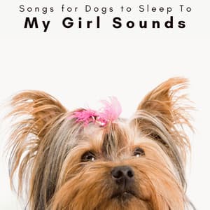 4 Dogs: My Girl Sounds - Songs for Dogs to Sleep To