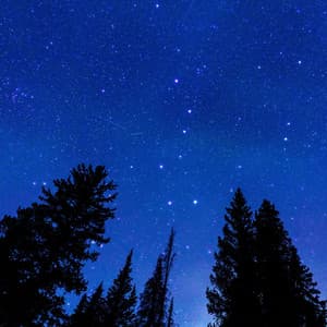 Harmonic Nature's Finale: Tranquil Melodies Amongst Stars - HD Nature Sound Library