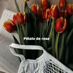 Pétalo de rosa - Playlist Musica para Estudiar