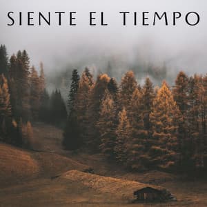 Siente El Tiempo - Danny sonidos de lluvia