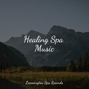 Healing Spa Music - Asian Zen Spa Music Meditation