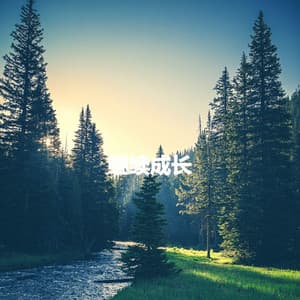 继续成长 - Easy Dinner Music