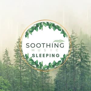 Sleeping Piano Music - Soothing Music