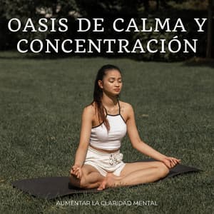 Oasis De Calma Y Concentración: Aumentar La Claridad Mental - Fondos de sonidos de la naturaleza