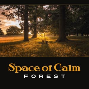 Space of Calm: Forest – Deep Relaxation, Contemplation Eternity, Letting Go of Tension and Stress, Equanimity - Nature Music Sanctuary