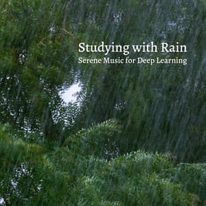 Studying with Rain: Serene Music for Deep Learning - Rainy Day Music