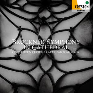 Bruckner Symphony In Cathedral - Anton Bruckner