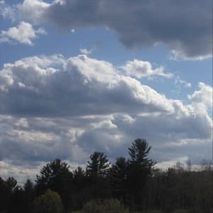 For the Love of Beautiful Melodies - David Bond