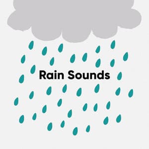 Rain Sounds: Gentle and Pure Rain Noises for Soothing Moments - White Noise Collectors