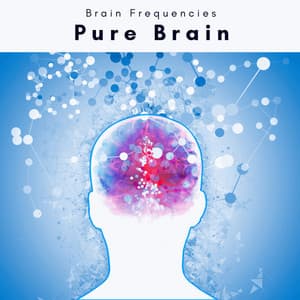 Pure Brain - Imaginacoustics