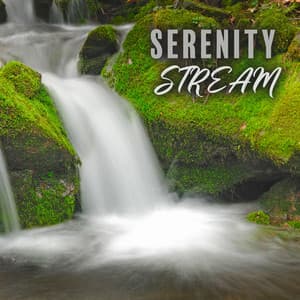 Serenity Stream: Peaceful Piano with Water Background Sounds for Ultimate Relaxation - Chill Out Time Consort