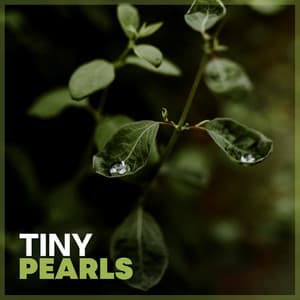Tiny Pearls - Rain and Chill