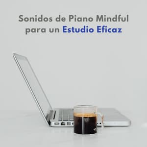 Sonidos De Piano Mindful Para Un Estudio Eficaz - El piano amistoso