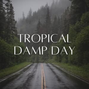 Tropical Damp Day - Calming Rain