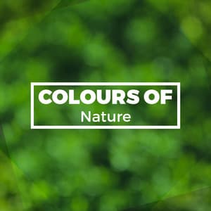 Colours of Nature - Nature Sounds Meditation