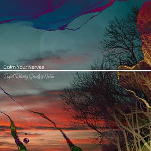 Calm Your Nerves - Perfect Relaxing Sounds of Nature: Ocean, Sea, River, Rain - Healing Ocean Waves Zone