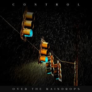 Control over the Raindrops - Rainforest Ambience