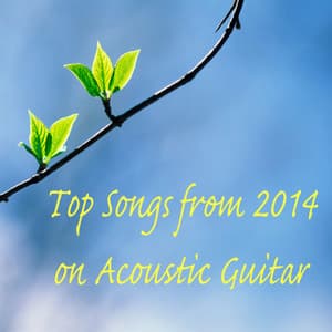 Top Songs from 2014 on Acoustic Guitar - Steve Petrunak