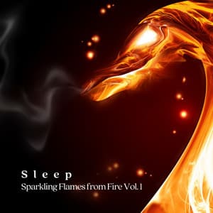 Sleep: Sparkling Flames from Fire Vol. 1 - Sleep