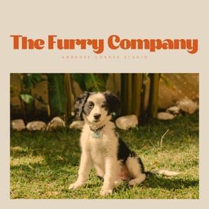 The Furry Company - Official Pet Care Collection