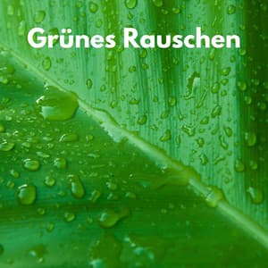 Grünes Rauschen - Weißes Rauschen